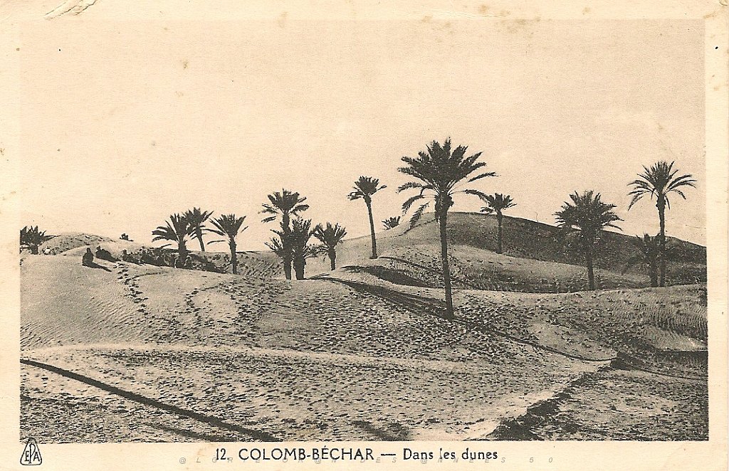 colomb bechar  (16).jpg